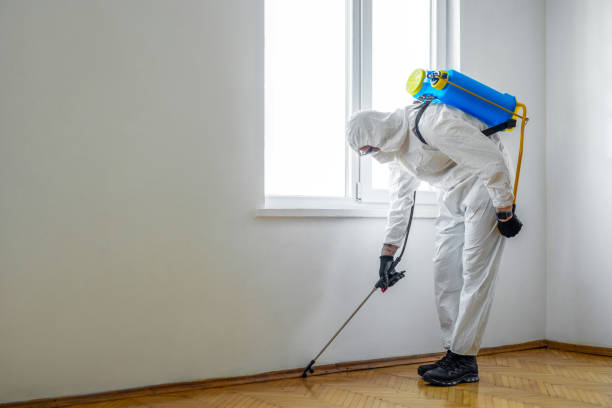 Reliable Sanborn, IA Pest Control Solutions